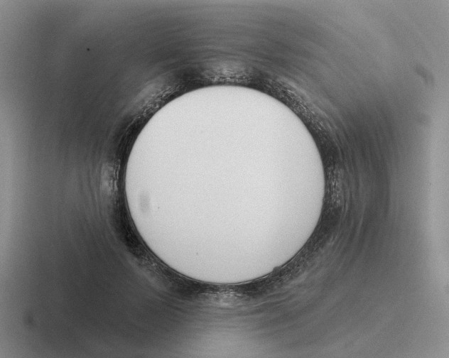 X0000116650695201001041050