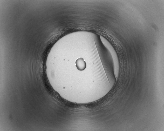 X0000116650696201001041050