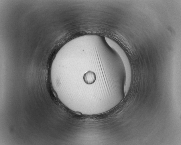 X0000116650697201001041050