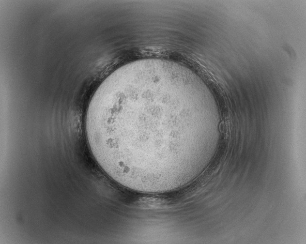 X0000116650699201001041050