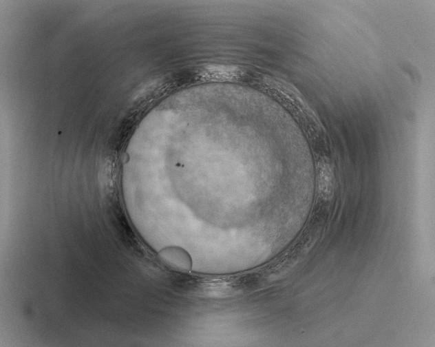 X0000116650701201001041050