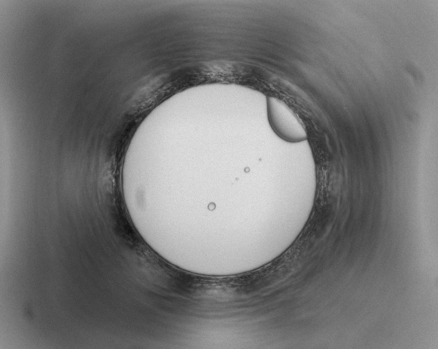 X0000116650702201001041050