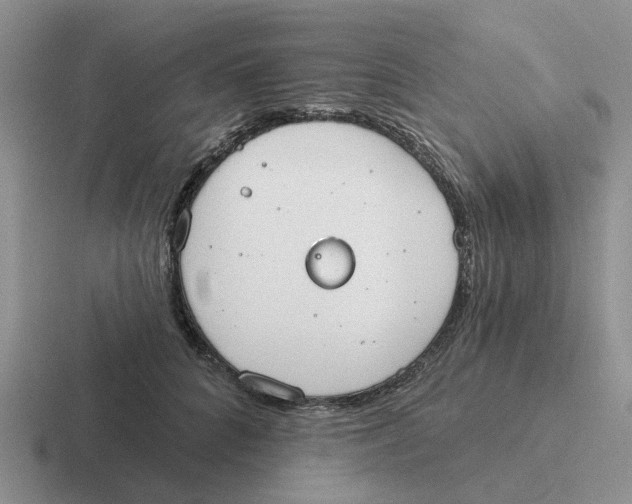 X0000116650704201001041050