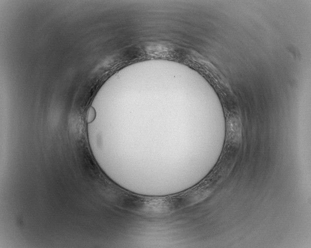 X0000116650705201001041050