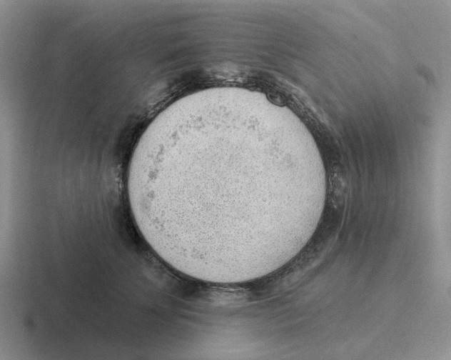 X0000116650707201001041050