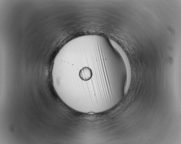 X0000116650709201001041050