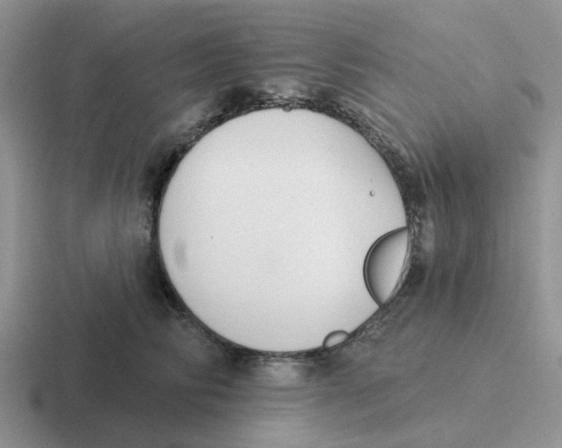 X0000116650710201001041050