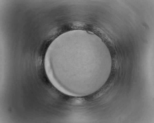 X0000116650711201001041050