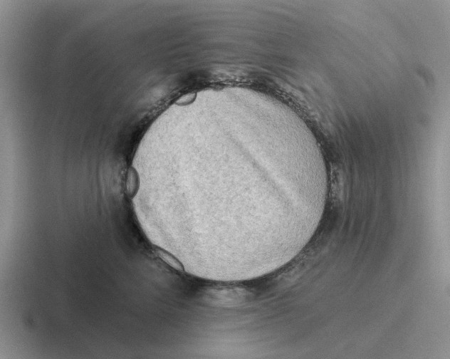 X0000116650712201001041050