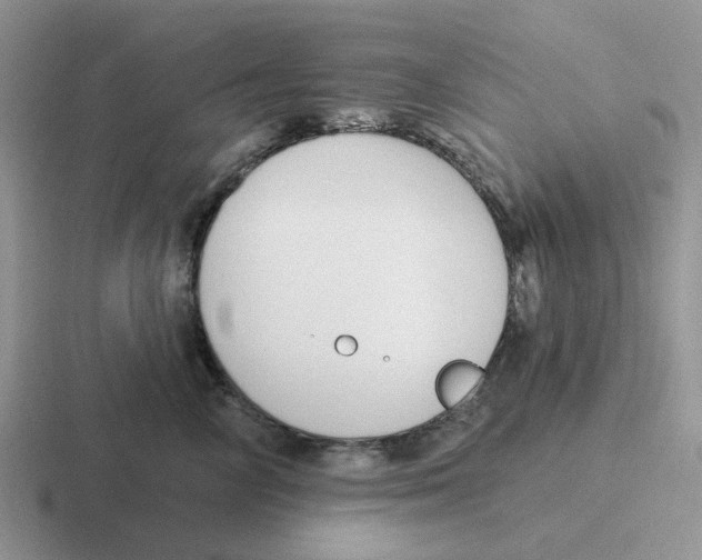 X0000116650714201001041050