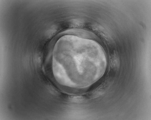 X0000116650716201001041050