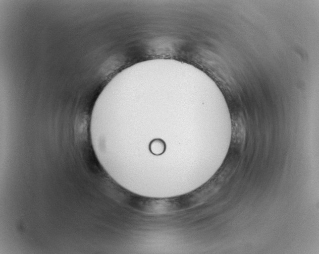 X0000116650717201001041050