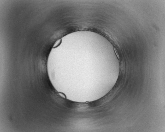 X0000116650719201001041050