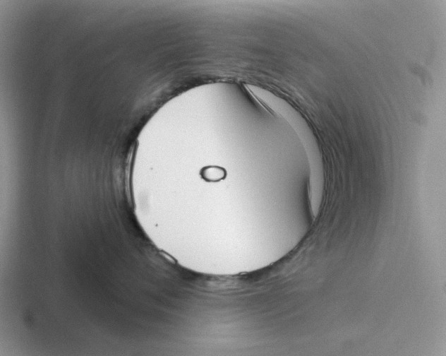 X0000116650720201001041050