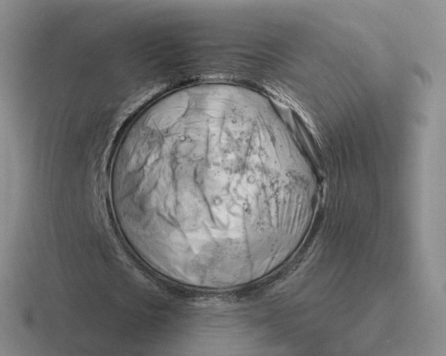 X0000116650721201001041049