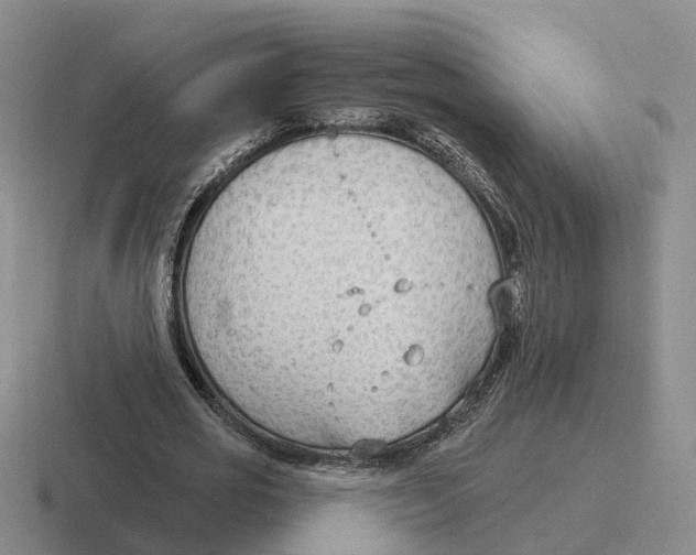 X0000116650725201001041050