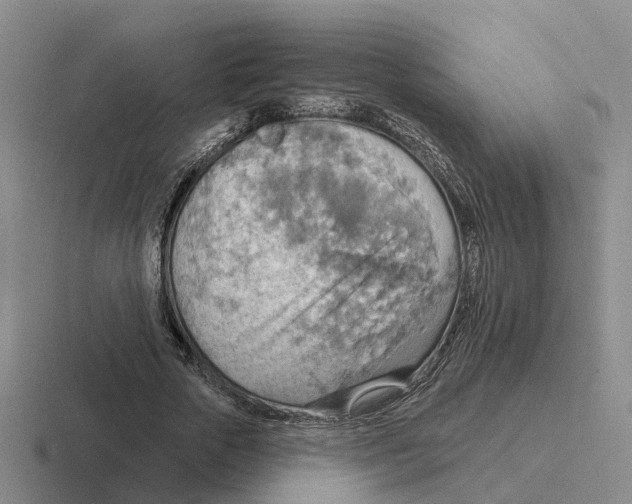 X0000116650729201001041050