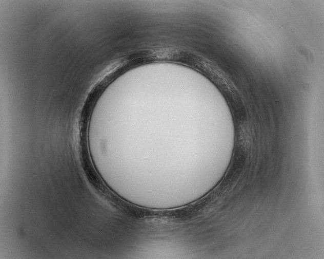 X0000116650730201001041050