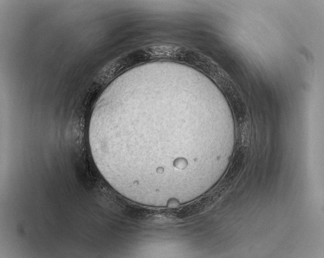 X0000116650737201001041050