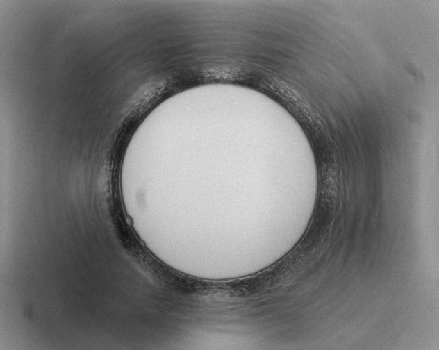 X0000116650738201001041050