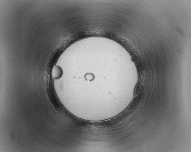 X0000116650739201001041050