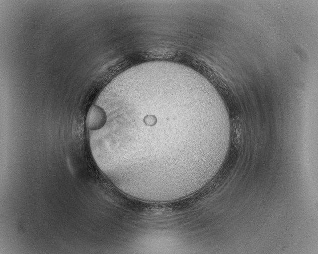 X0000116650745201001041050