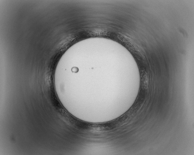 X0000116650746201001041050