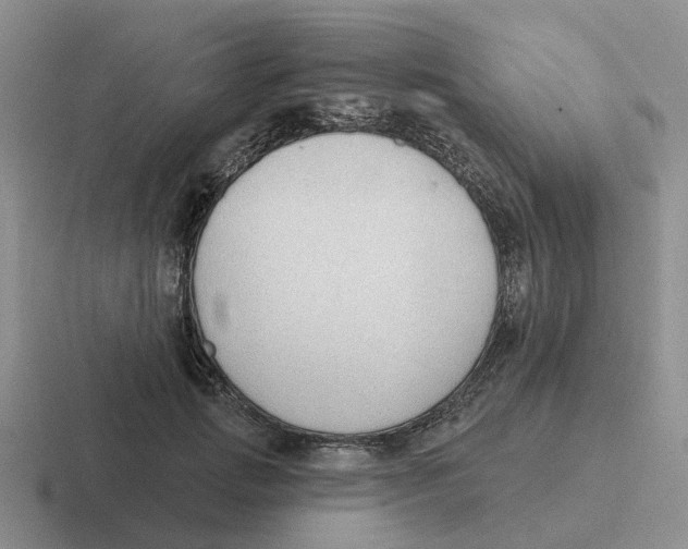 X0000116650749201001041050