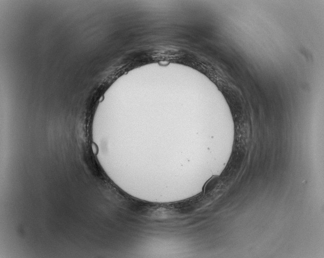 X0000116650755201001041050