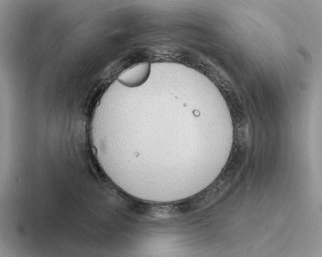 X0000116650757201001041050