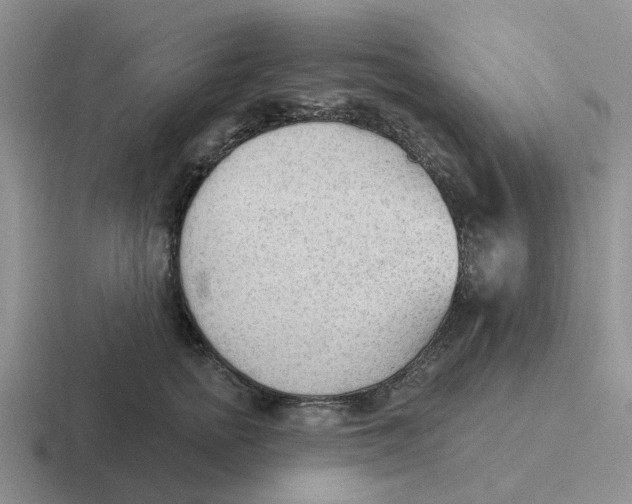 X0000116650758201001041050