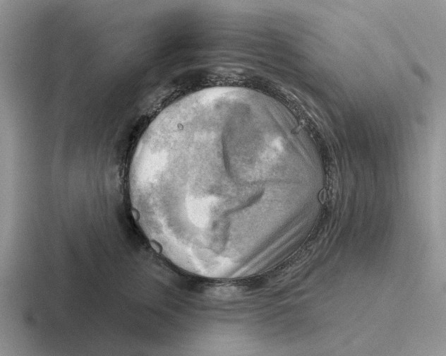 X0000116650759201001041050