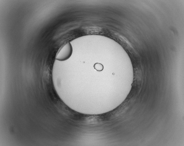 X0000116650761201001041050