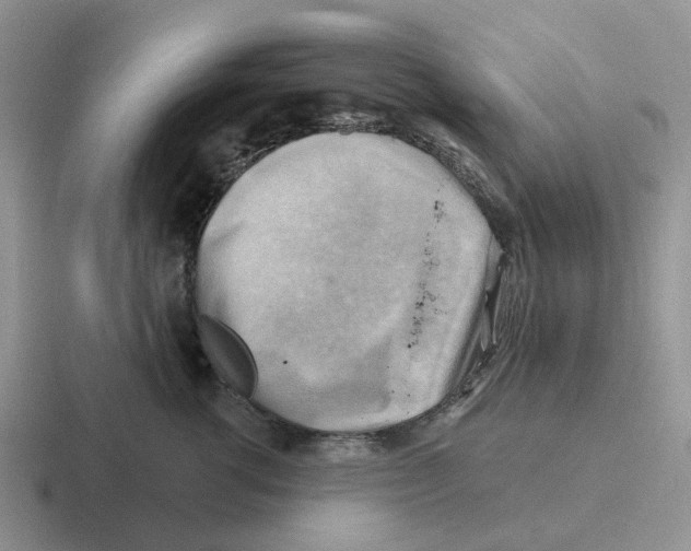 X0000116650762201001041050