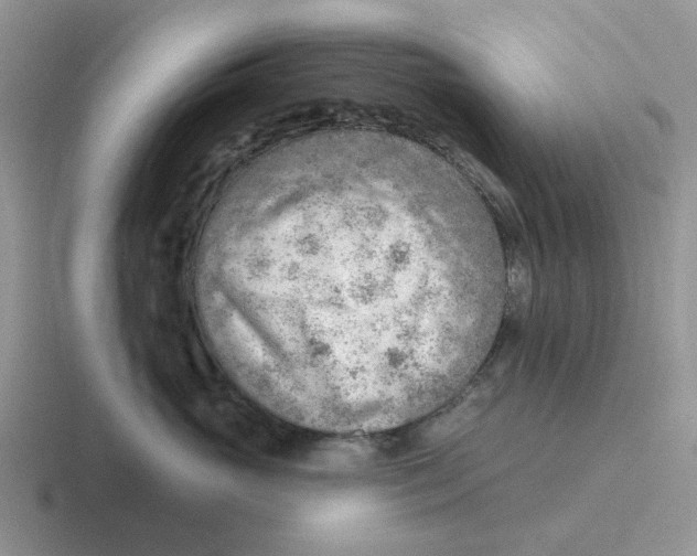 X0000116650765201001041050