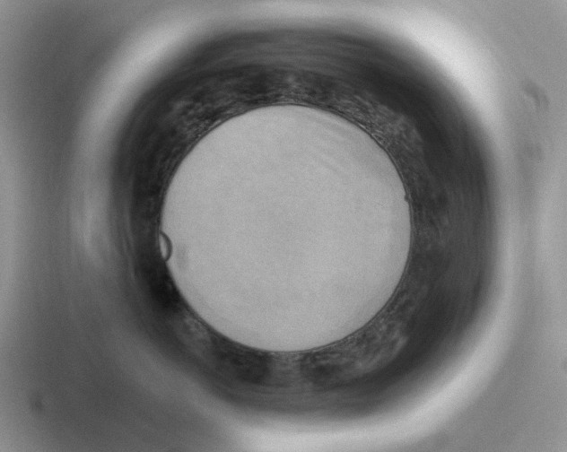 X0000116650766201001041050