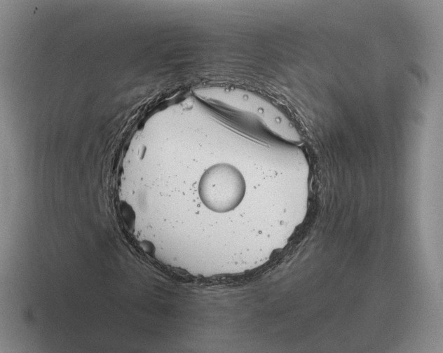 X0000116650769201001041049