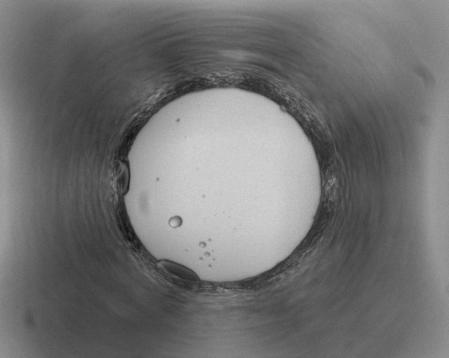 X0000116650772201001041049