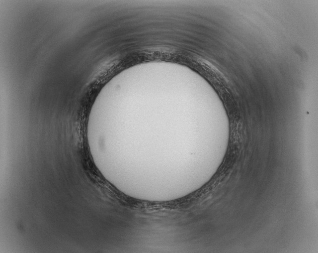 X0000116650774201001041049