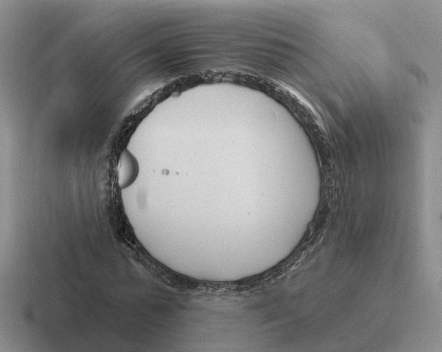 X0000116650775201001041049