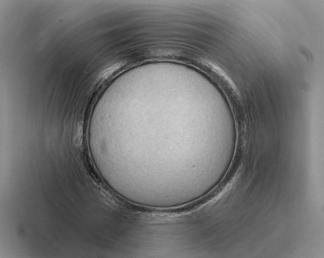 X0000116650777201001041049