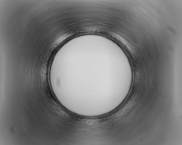 X0000116650778201001041049