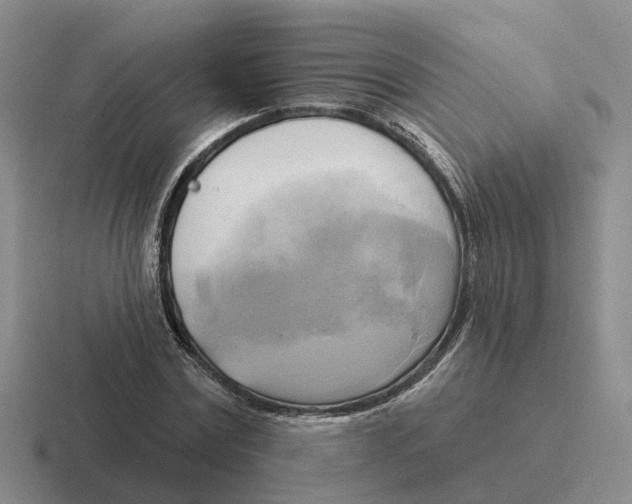 X0000116650779201001041049