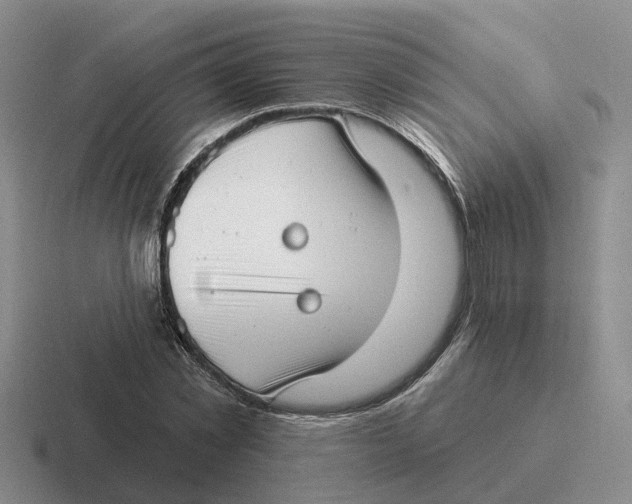 X0000116650781201001041049