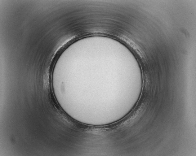 X0000116650782201001041049