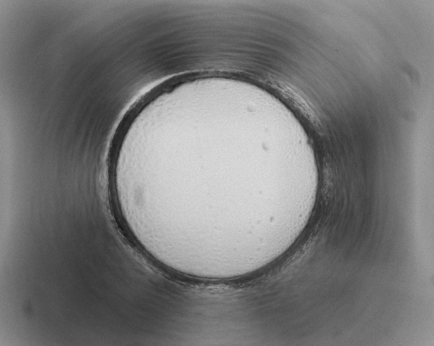 X0000116650784201001041049