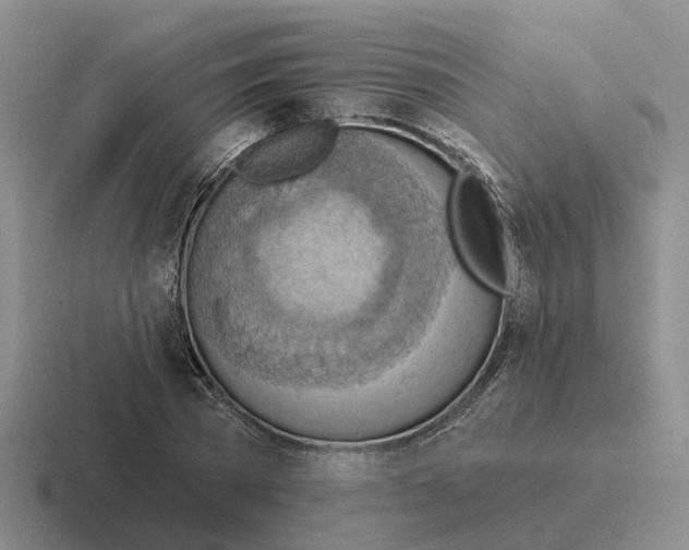 X0000116650785201001041049