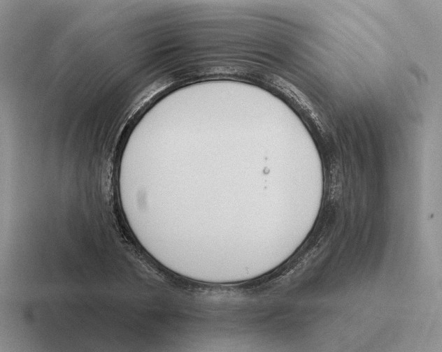 X0000116650786201001041049