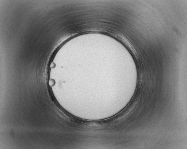 X0000116650787201001041049