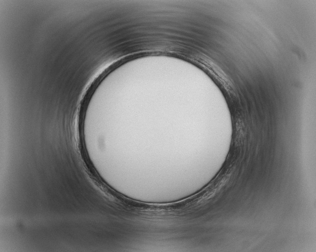 X0000116650788201001041049